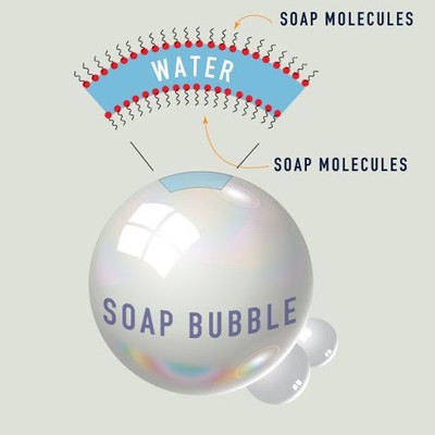 A **soap bubble**. The surface of a soap bubble is formed from layers of **micelles**, which self-assemble when the amount of soap exceeds a critical concentration.